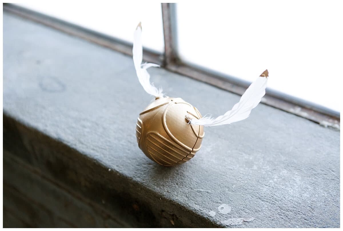 golden snitch ring box at a Harry Potter marriage proposal at the Houston Rental Studio in Houston Texas captured by Swish and Click Photography