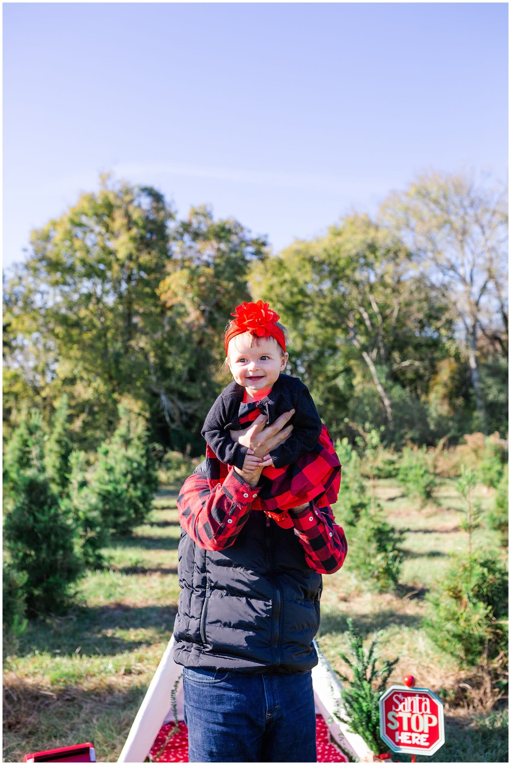 baby laughing at Christmas tree farm for family portraits by Swish and Click Photography at Holiday Acres Farm in Manvel Texas