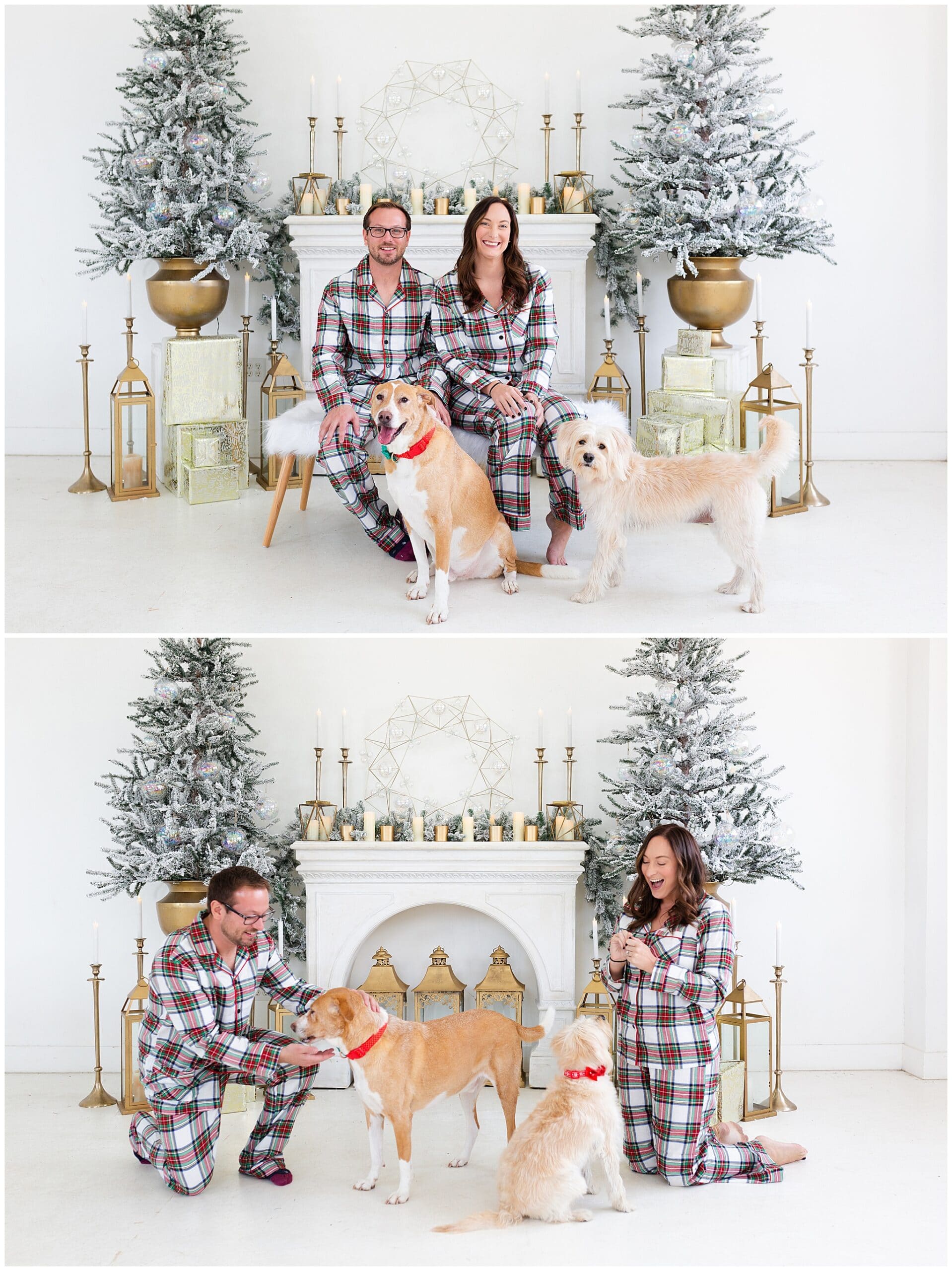 engaged couple and their puppies at a Christmas portraits session at Studio HTX in Houston Texas by Swish and Click Photography