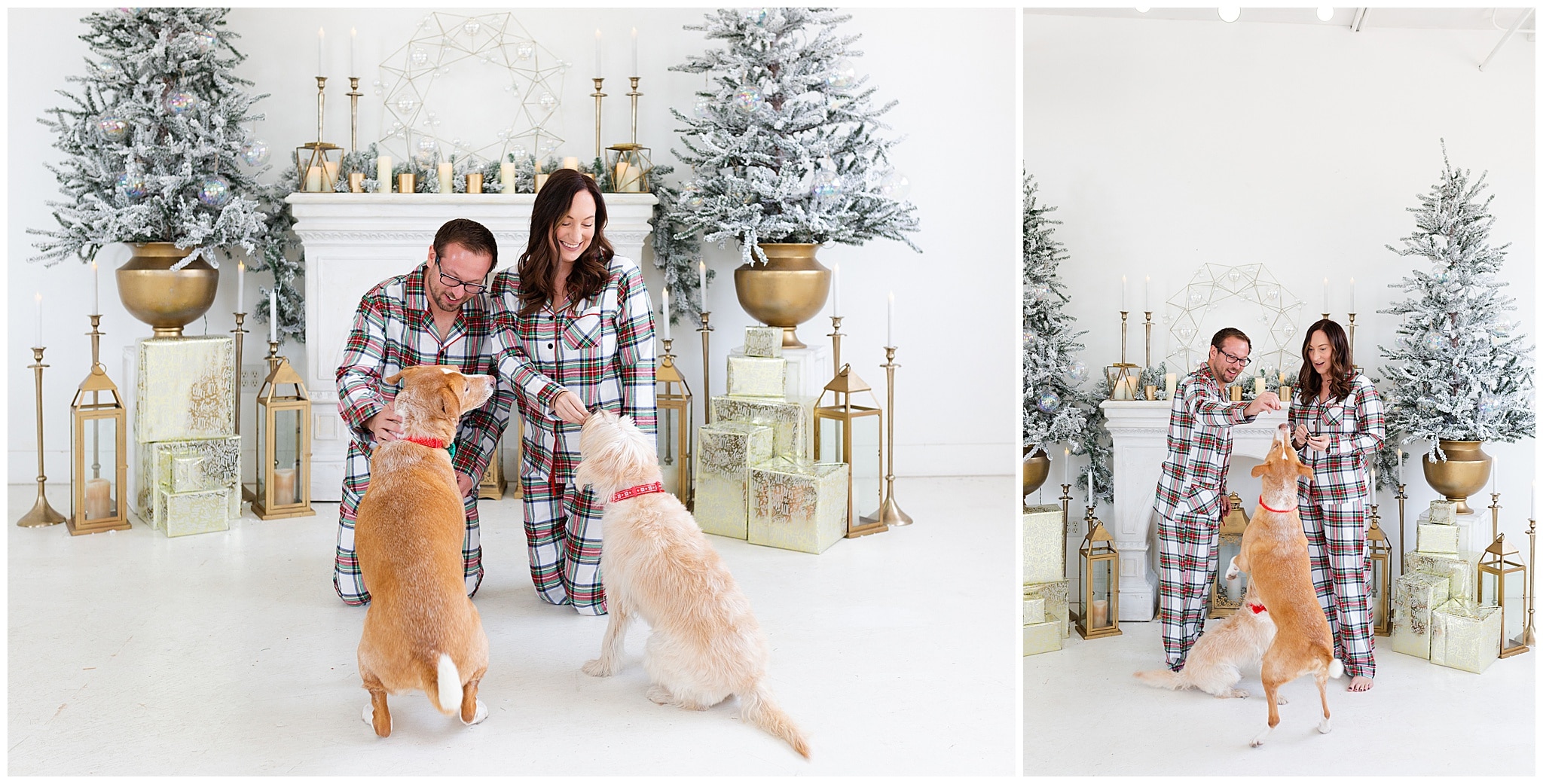 engaged couple and their puppies at a Christmas portraits session at Studio HTX in Houston Texas by Swish and Click Photography