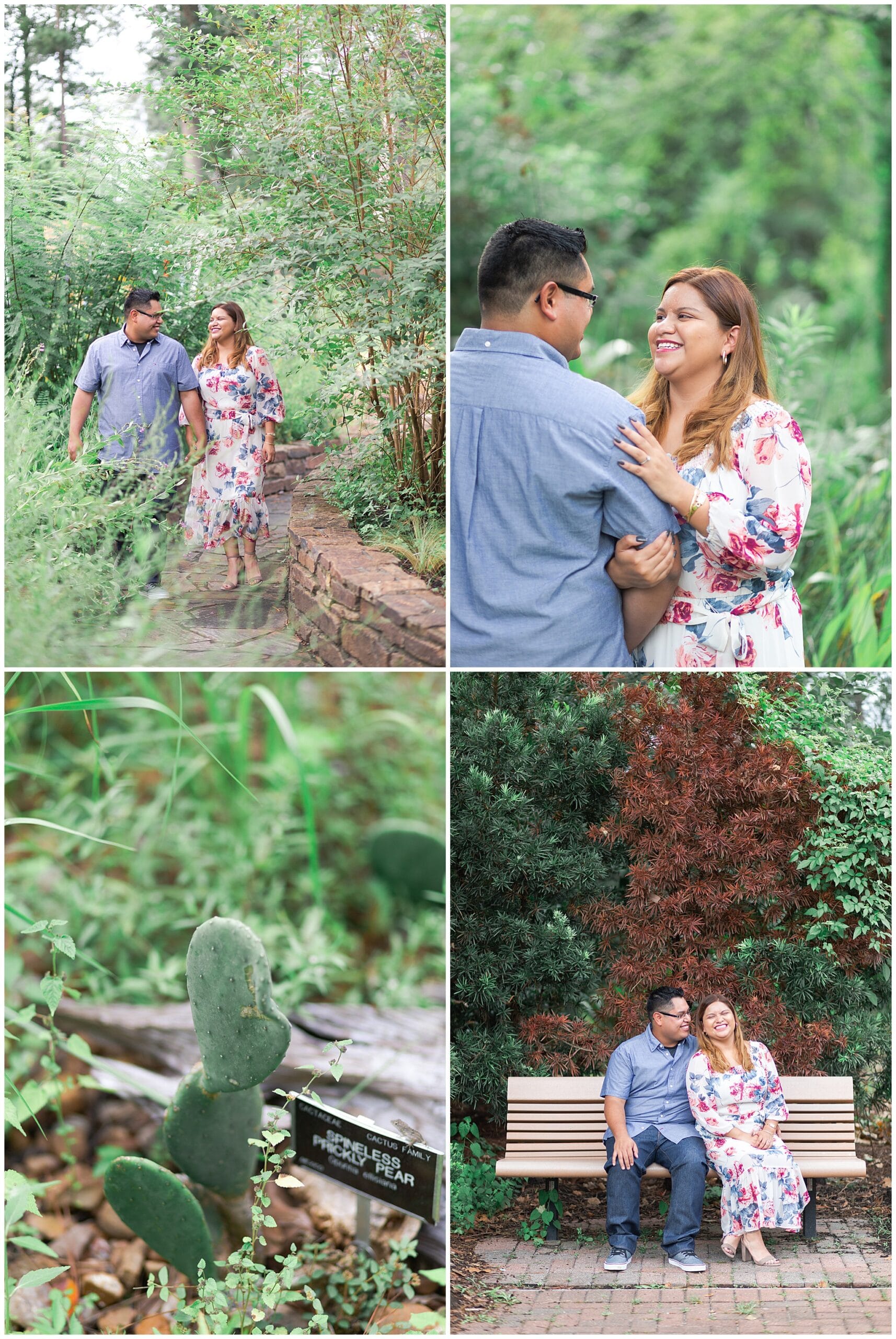 engaged couple kissing at Mercer Botanic Gardens in Houston TX by Swish and Click Photography