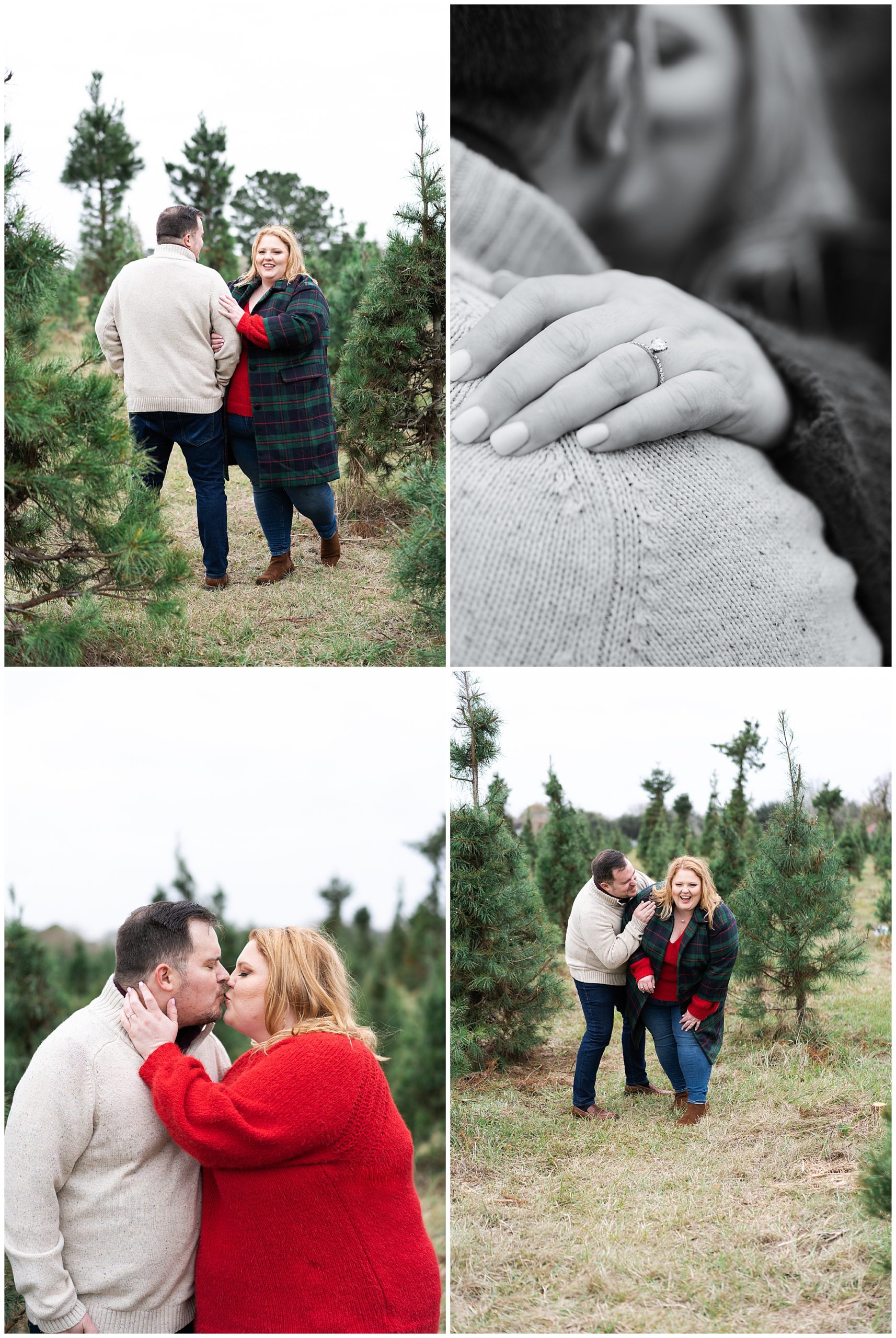during their tree farm portrait session at Holiday Acres in Houston Texas by Swish and Click Photography couple laughs and poses