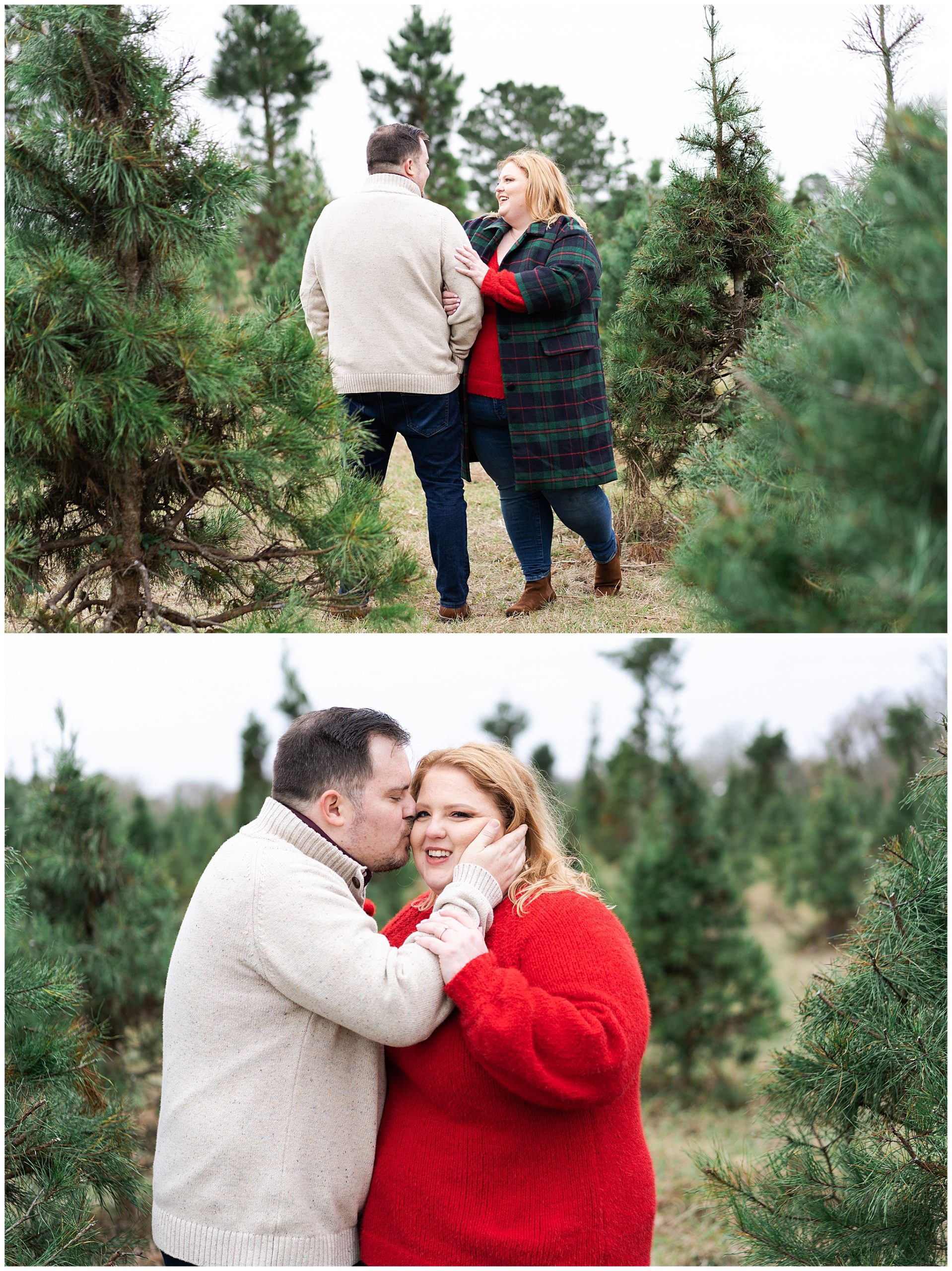 during their tree farm portrait session at Holiday Acres in Houston Texas by Swish and Click Photography engaged couple kiss