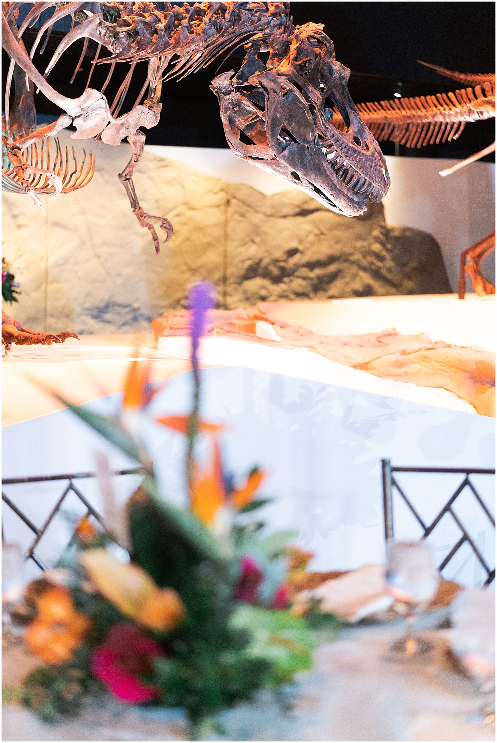 Dinosaur wedding details at the Houston Museum of Natural Science - Geologist Wedding Details | Swish and Click Photography