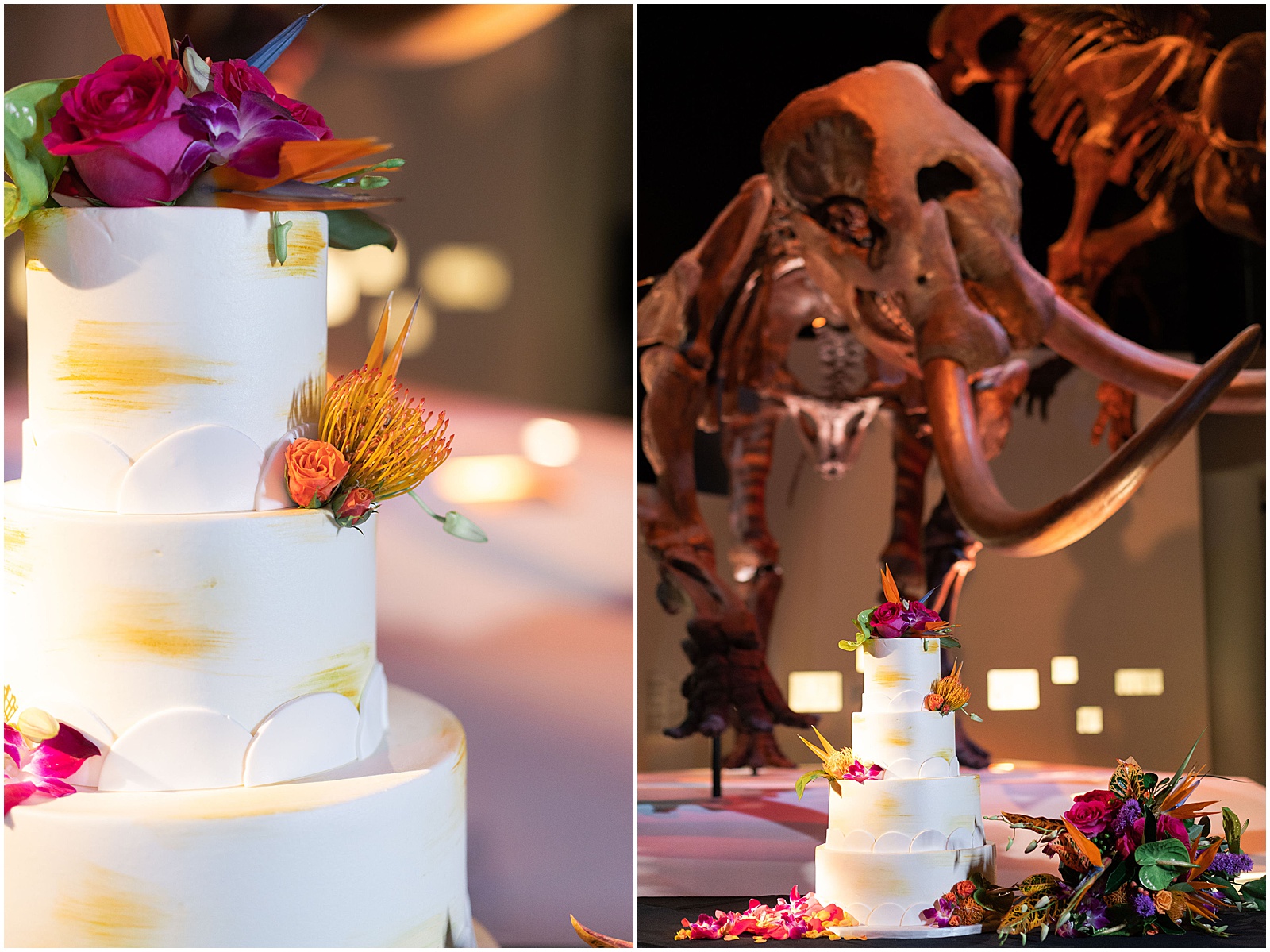 Dinosaur wedding details at the Houston Museum of Natural Science - Geologist Wedding Details | Swish and Click Photography