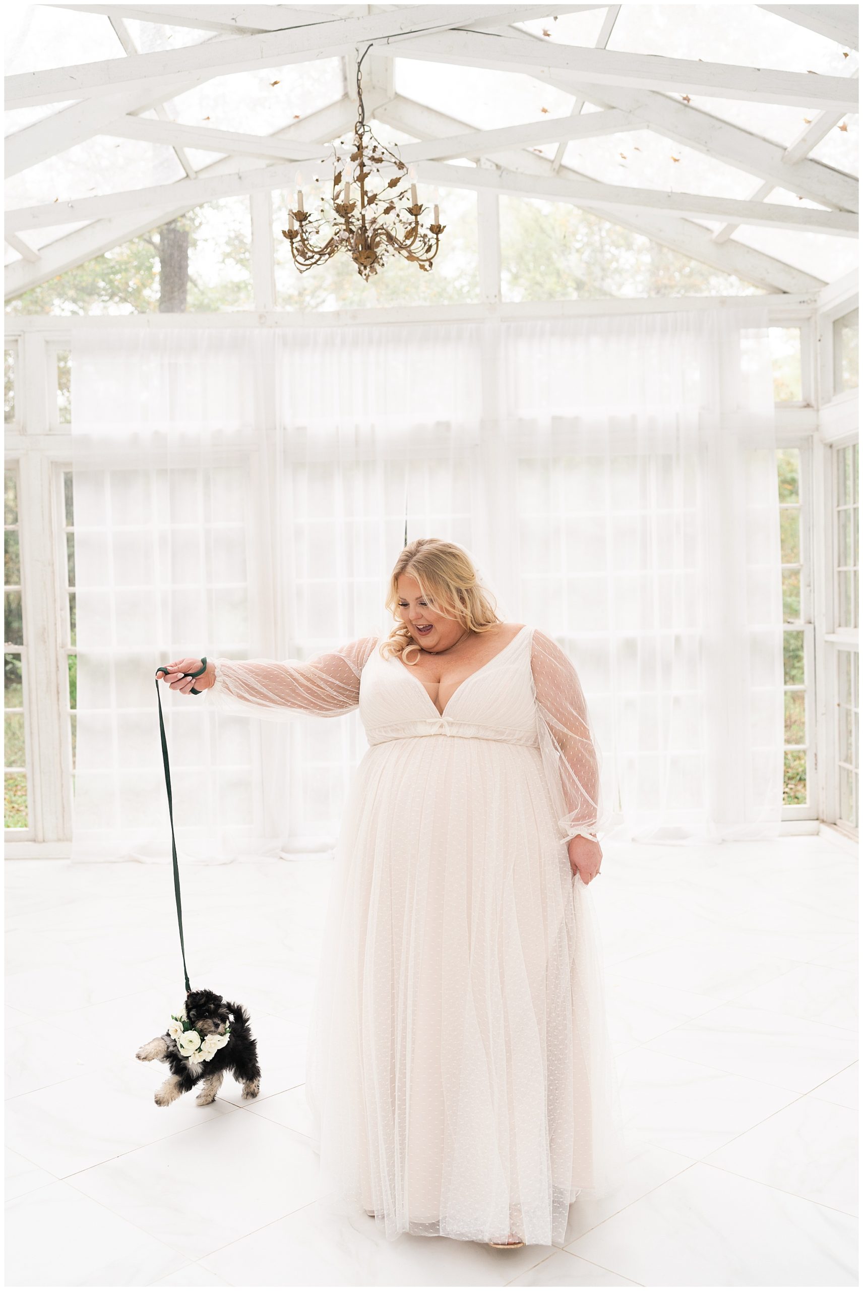 bride walks her dog Waffles in her wedding gown at the Oak Atelier in Houston by Swish and Click Photography