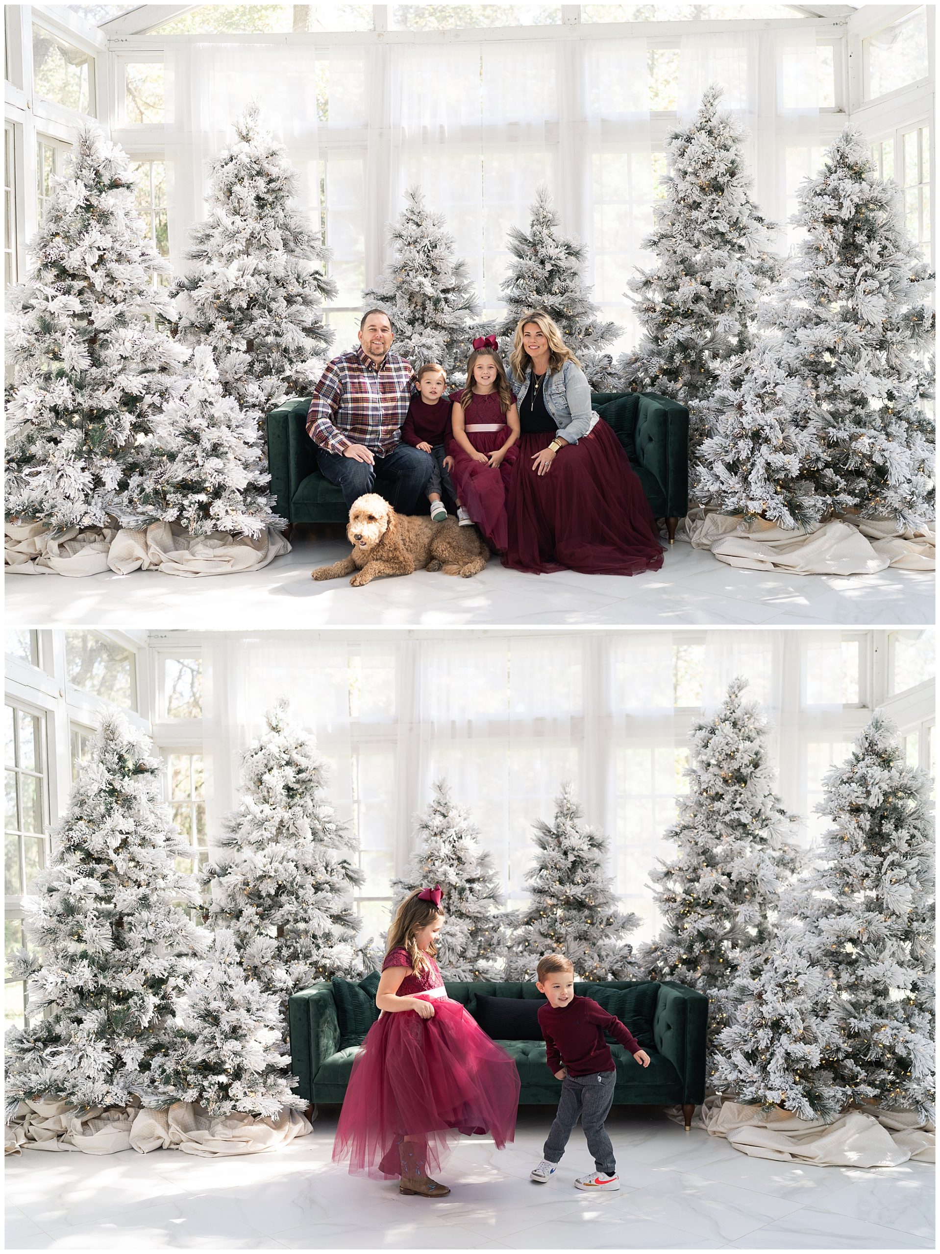 family poses for Christmas photos at the Oak Atelier in Houston Texas by photographer Swish and Click Photography