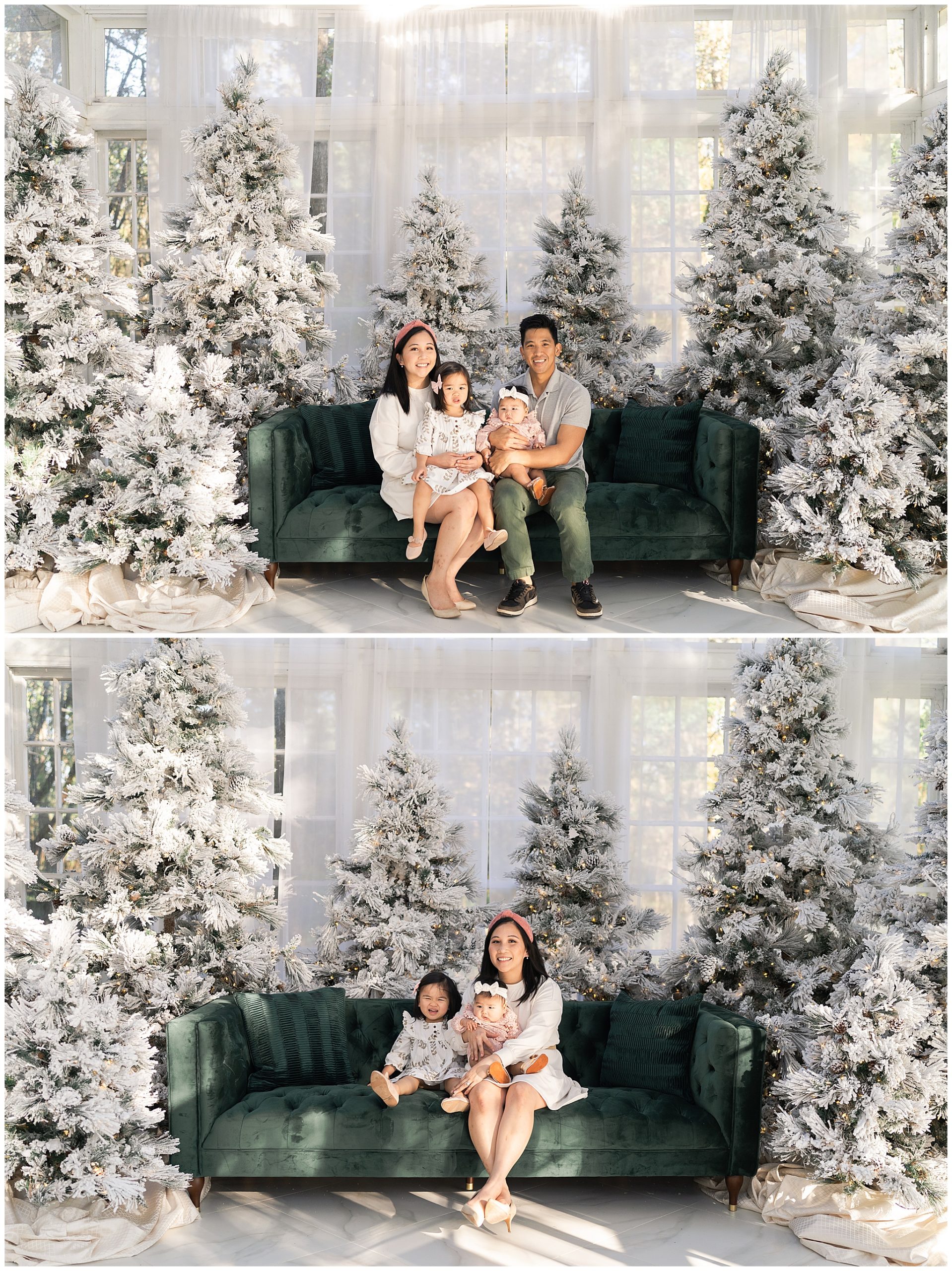 family poses for Christmas photos at the Oak Atelier in Houston Texas by photographer Swish and Click Photography