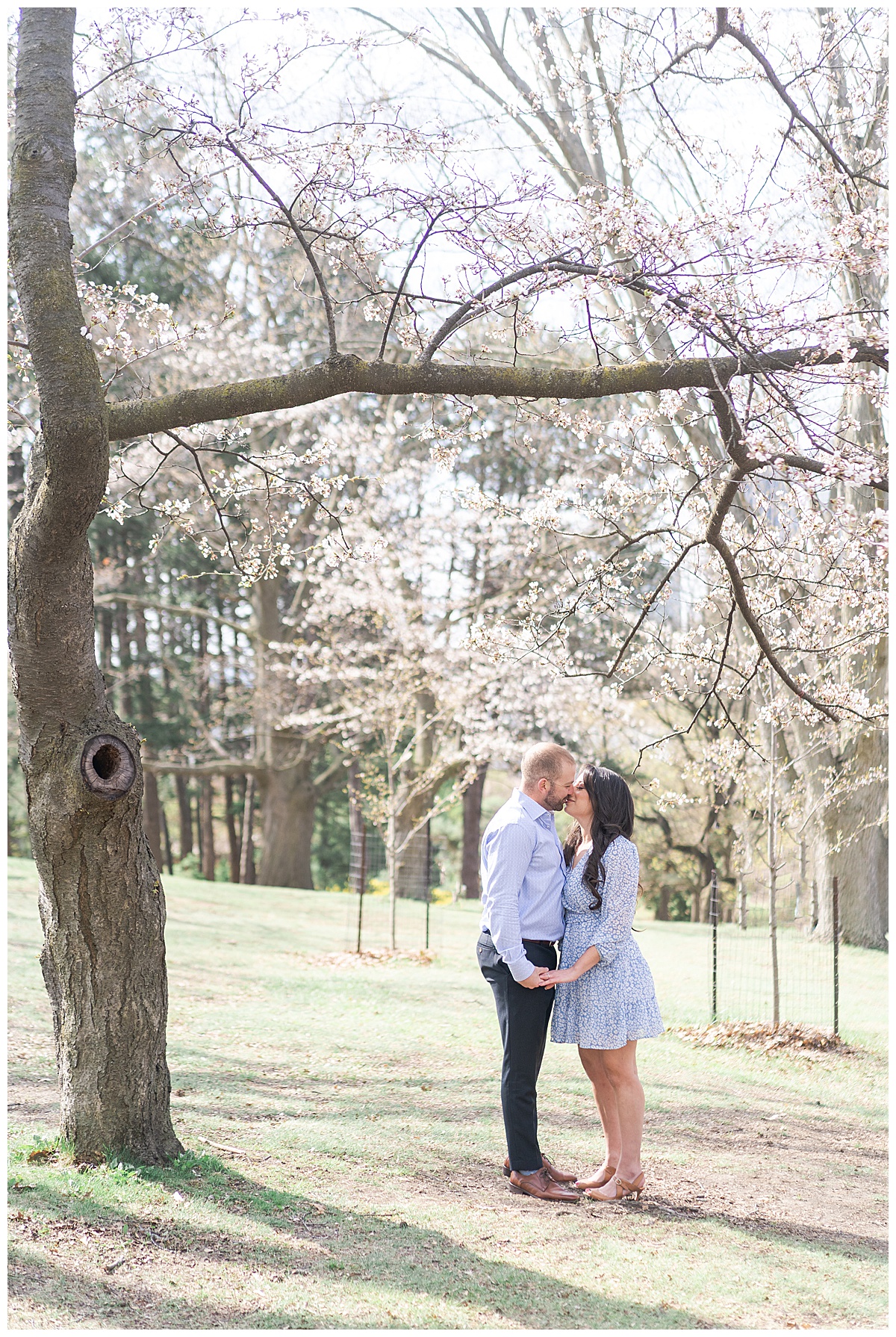 Man and woman kiss under cherry blossoms for Toronto Engagement Session