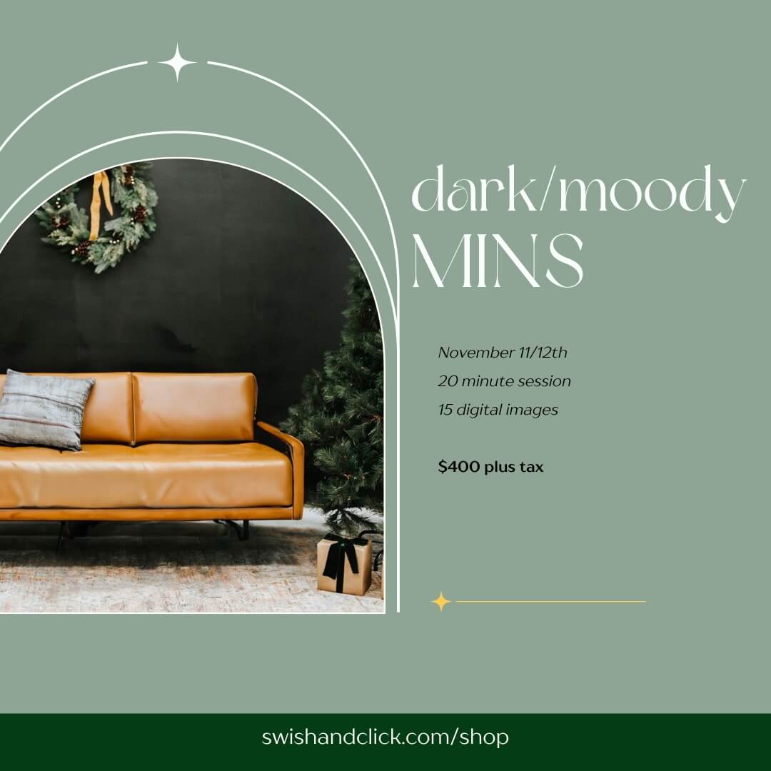dark and moody christmas mini session at muse manor