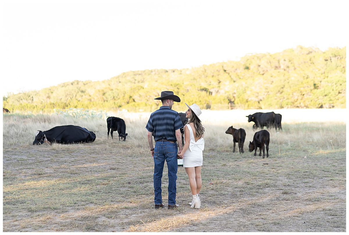 Couple walk together with some cows for Houston’s Best Wedding Photographers
