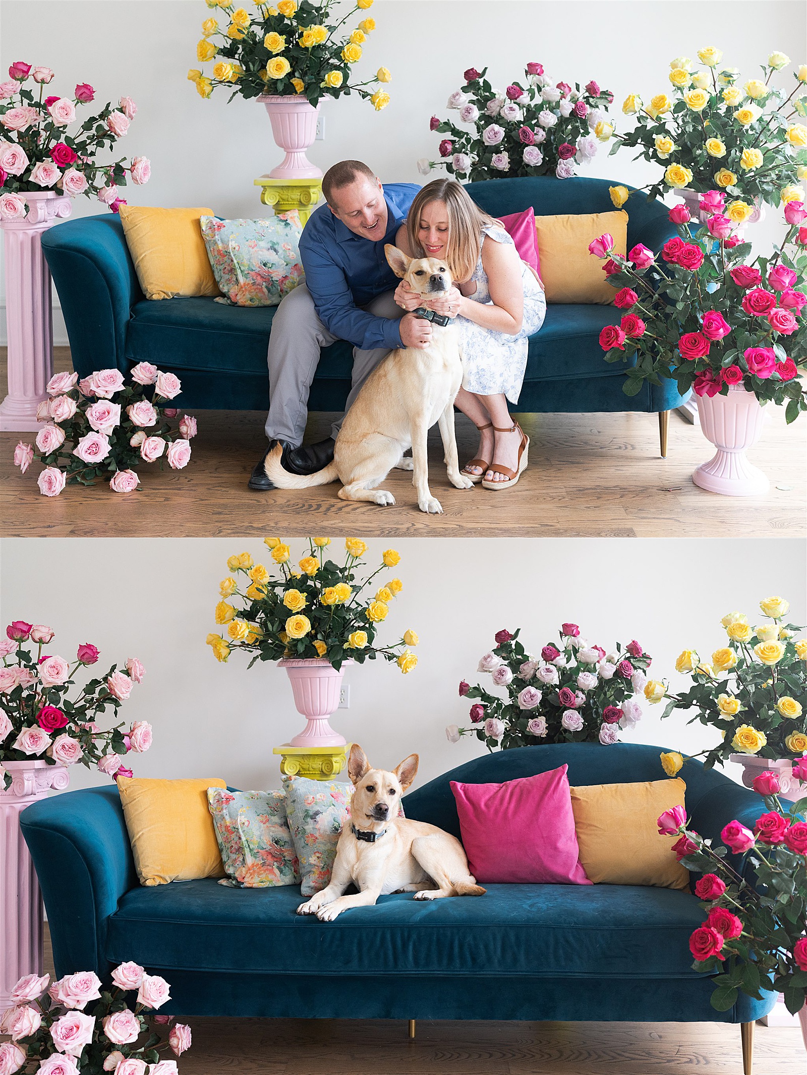 Colorful floral installations surround couple sitting with their dog by Swish & Click Photography