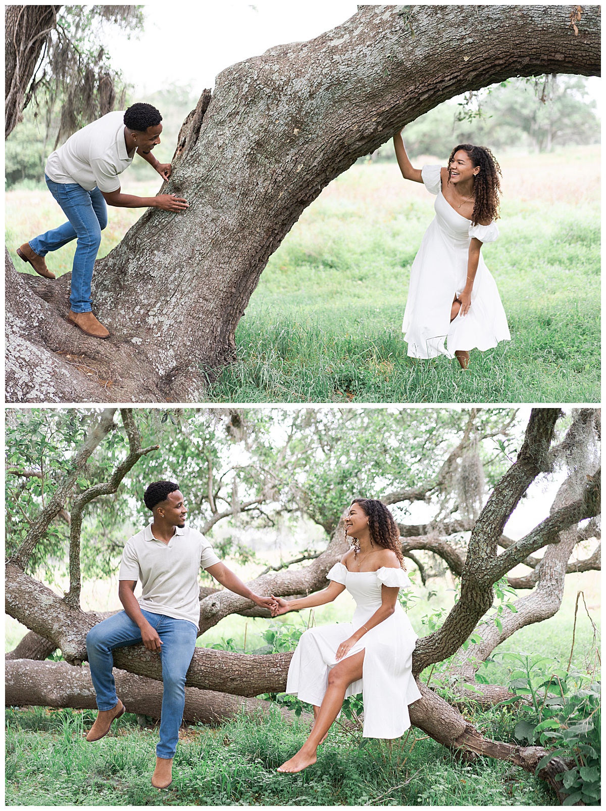 Man and woman play on a tree together for Swish & Click Photography