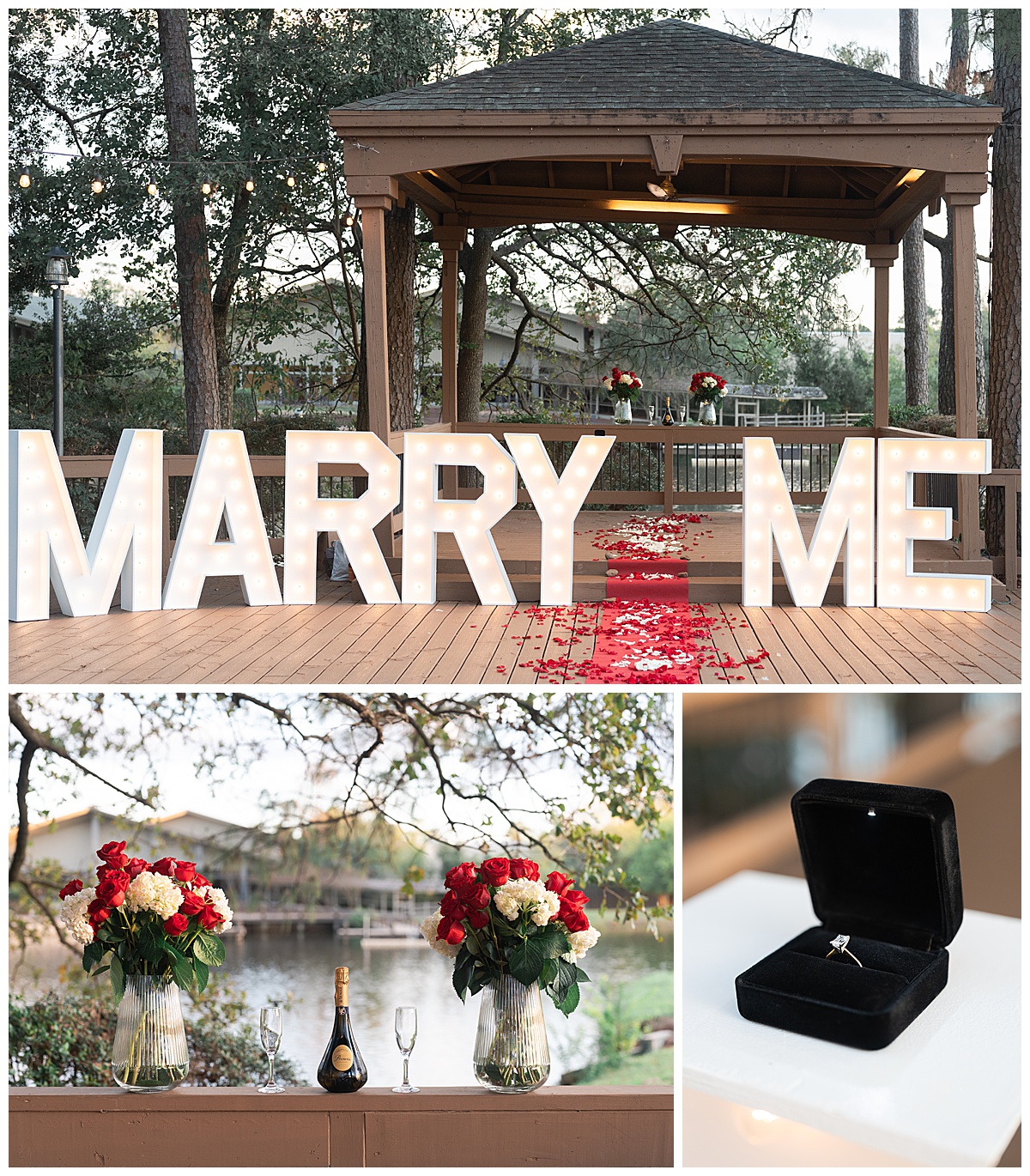 The details of the winter Houston marriage proposal set up.